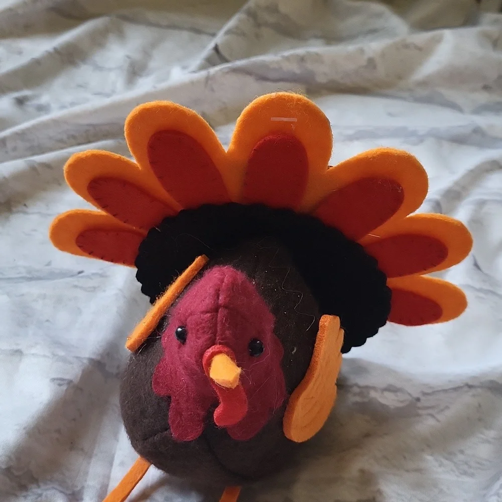 Target Spritz Thanksgiving Tom Turkey Bird felt plush Autumn fall decor
